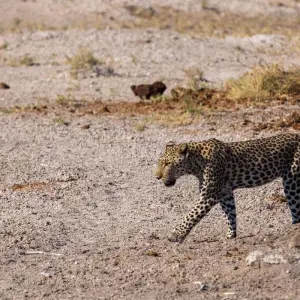 Explore Kenya-Tanzania Safari for 6 days with Holiday Destination Safaris and discover unforgettable experiences - Photo 6