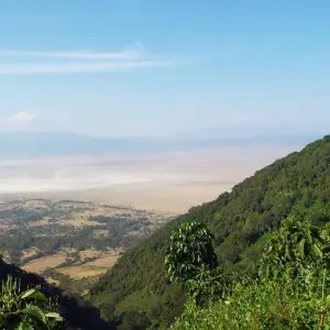 Explore Affordable Kenya Tanzania Safari for 11 days with Holiday Destination Safaris and discover unforgettable experiences - Photo 3