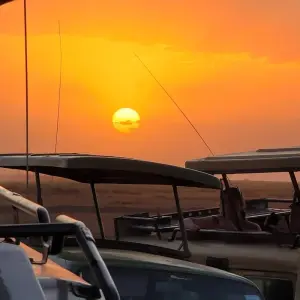 Explore Africa Savannah & Beach Safari for 12 days with Holiday Destination Safaris and discover unforgettable experiences - Photo 11