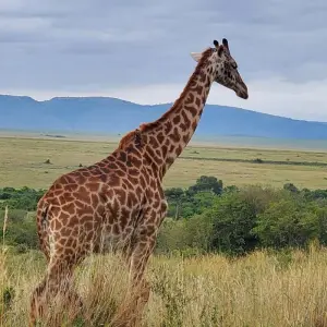 Explore Take Me Around East Africa for 14 days with Holiday Destination Safaris and discover unforgettable experiences - Photo 5