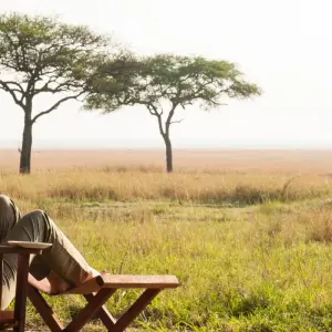 Explore Affordable Kenya Tanzania Safari for 11 days with Holiday Destination Safaris and discover unforgettable experiences - Photo 6