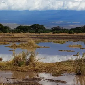 Explore Kenya-Tanzania Safari for 6 days with Holiday Destination Safaris and discover unforgettable experiences - Photo 10