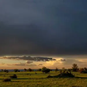 Explore Take Me Around East Africa for 14 days with Holiday Destination Safaris and discover unforgettable experiences - Photo 7