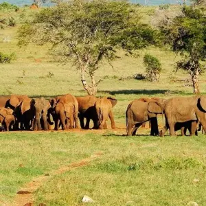 Explore 6 Day Kenya Cultural Safari for 6 days with Holiday Destination Safaris and discover unforgettable experiences - Photo 11