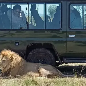 Explore Grand East African Safari (Gorilla & Migration) for 12 days with Holiday Destination Safaris and discover unforgettable experiences - Photo 8