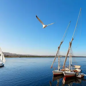 Explore 5 Days – 4 Nights Nile Cruise 5* From Cairo by Flight for 5 days with Holiday In Egypt and discover unforgettable experiences - Photo 2