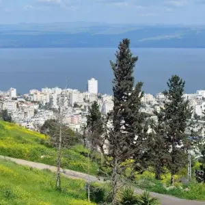 Explore Heritage of the Holy Land for 8 days with Holiday Travel Israel and discover unforgettable experiences - Photo 4