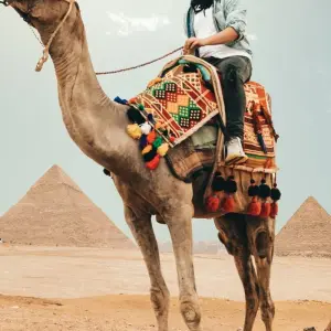 Explore 8 Days Pyramids and Nile Cruise Aswan - Abu simbel - Luxor - Hurghada for 8 days with Holiday In Egypt and discover unforgettable experiences - Photo 10