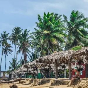 Explore Sri Lanka Itinerary 8 Days for 8 days with Holiday Lanka Tours and discover unforgettable experiences - Photo 2