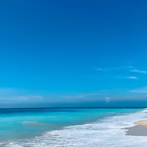 Explore Sri Lanka Itinerary 8 Days for 8 days with Holiday Lanka Tours and discover unforgettable experiences - Photo 3