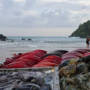 Explore 6 Day Sri Lanka Itinerary for 6 days with Holiday Lanka Tours and discover unforgettable experiences - Photo 2