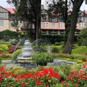 Explore Sri Lanka Itinerary 8 Days for 8 days with Holiday Lanka Tours and discover unforgettable experiences - Photo 4