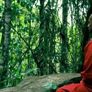 Explore Sri Lanka 3 Day Trip for 3 days with Holiday Lanka Tours and discover unforgettable experiences - Photo 4