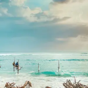 Explore 2 Weeks Sri Lanka Tour Itinerary for 14 days with Holiday Lanka Tours and discover unforgettable experiences - Photo 2