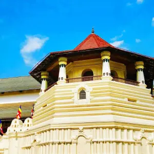 Explore 4 Days Tour Packages Sri Lanka for 4 days with Holiday Lanka Tours and discover unforgettable experiences - Photo 2