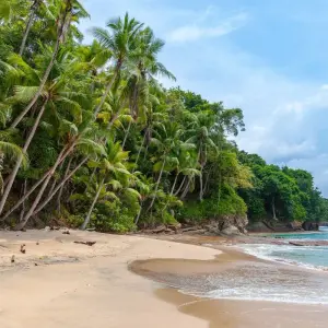 Explore Tour to Sri Lanka 20 Days/19 Nights for 20 days with Holiday Lanka Tours and discover unforgettable experiences - Photo 2