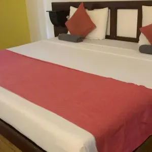 Explore 5 Day Sri Lanka Itinerary for 5 days with Holiday Lanka Tours and discover unforgettable experiences - Photo 5