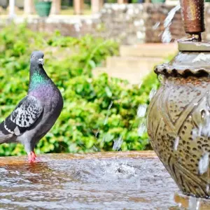 Explore 6 Day Sri Lanka Itinerary for 6 days with Holiday Lanka Tours and discover unforgettable experiences - Photo 4