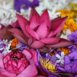 Explore 4 Day Sri Lanka Itinerary for 4 days with Holiday Lanka Tours and discover unforgettable experiences - Photo 5