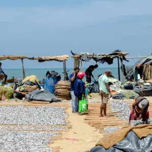 Explore 4 Days Tour Packages Sri Lanka for 4 days with Holiday Lanka Tours and discover unforgettable experiences - Photo 3