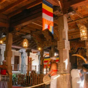 Explore Sri Lanka Itinerary 8 Days for 8 days with Holiday Lanka Tours and discover unforgettable experiences - Photo 4