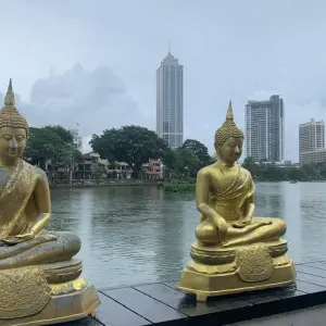 Explore 5 Day Sri Lanka Itinerary for 5 days with Holiday Lanka Tours and discover unforgettable experiences - Photo 6