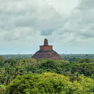 Explore 2 Weeks Sri Lanka Tour Itinerary for 14 days with Holiday Lanka Tours and discover unforgettable experiences - Photo 4