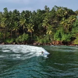 Explore 5 Day Sri Lanka Itinerary for 5 days with Holiday Lanka Tours and discover unforgettable experiences - Photo 7