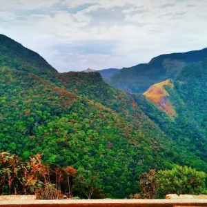 Explore 6 Day Sri Lanka Itinerary for 6 days with Holiday Lanka Tours and discover unforgettable experiences - Photo 6