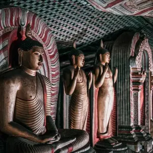 Explore Sri Lanka Itinerary 10 Days for 10 days with Holiday Lanka Tours and discover unforgettable experiences - Photo 5