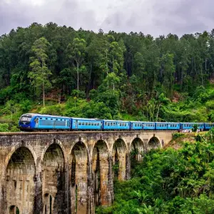 Explore Tour to Sri Lanka 20 Days/19 Nights for 20 days with Holiday Lanka Tours and discover unforgettable experiences - Photo 5