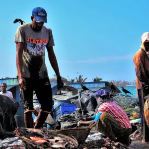 Explore 5 Day Sri Lanka Itinerary for 5 days with Holiday Lanka Tours and discover unforgettable experiences - Photo 8