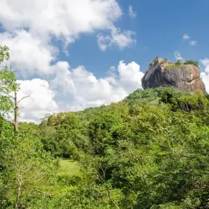 Explore Sri Lanka Itinerary 8 Days for 8 days with Holiday Lanka Tours and discover unforgettable experiences - Photo 6