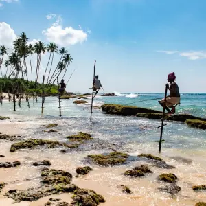 Explore Tour to Sri Lanka 20 Days/19 Nights for 20 days with Holiday Lanka Tours and discover unforgettable experiences - Photo 6