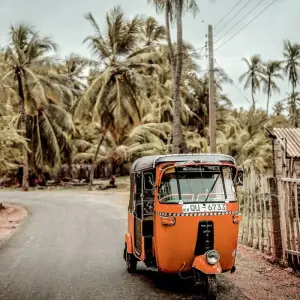 Explore 4 Days Tour Packages Sri Lanka for 4 days with Holiday Lanka Tours and discover unforgettable experiences - Photo 7