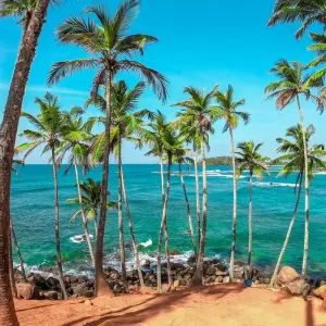 Explore 5 Day Sri Lanka Itinerary for 5 days with Holiday Lanka Tours and discover unforgettable experiences - Photo 10