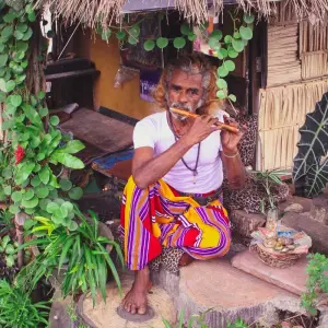 Explore Sri Lanka Package For 5 Days for 5 days with Holiday Lanka Tours and discover unforgettable experiences - Photo 3