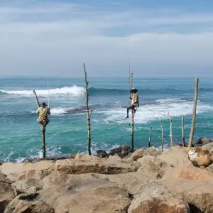 Explore Sri Lanka Itinerary 9 Days for 9 days with Holiday Lanka Tours and discover unforgettable experiences - Photo 3