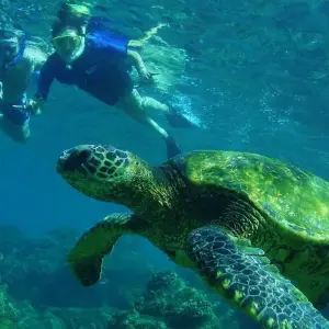 Explore Sri Lanka Itinerary 14 Days for 14 days with Holiday Lanka Tours and discover unforgettable experiences - Photo 5