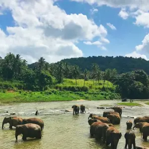 Explore Sri Lanka Package For 5 Days for 5 days with Holiday Lanka Tours and discover unforgettable experiences - Photo 4