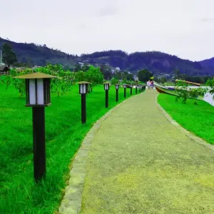 Explore Sri Lanka Itinerary 14 Days for 14 days with Holiday Lanka Tours and discover unforgettable experiences - Photo 6