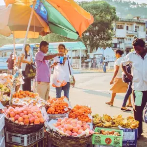 Explore Sri Lanka Package For 5 Days for 5 days with Holiday Lanka Tours and discover unforgettable experiences - Photo 5