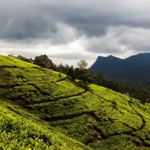 Explore Sri Lanka 6 Days Itinerary for 6 days with Holiday Lanka Tours and discover unforgettable experiences - Photo 5