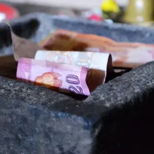 Explore Sri Lanka 7 Days Itinerary for 7 days with Holiday Lanka Tours and discover unforgettable experiences - Photo 2