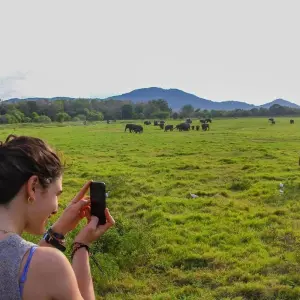 Explore Sri Lanka Itinerary 14 Days for 14 days with Holiday Lanka Tours and discover unforgettable experiences - Photo 7