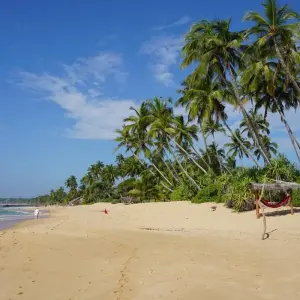 Explore Sri Lanka Itinerary 9 Days for 9 days with Holiday Lanka Tours and discover unforgettable experiences - Photo 6