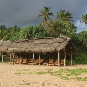 Explore Sri Lanka 8 Days Itinerary for 8 days with Holiday Lanka Tours and discover unforgettable experiences - Photo 3