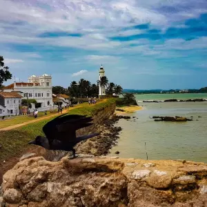 Explore Sri Lanka 4 Nights 5 Days Itinerary for 5 days with Holiday Lanka Tours and discover unforgettable experiences - Photo 3