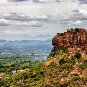 Explore Sri Lanka 8 Days Itinerary for 8 days with Holiday Lanka Tours and discover unforgettable experiences - Photo 5