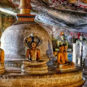 Explore Sri Lanka 8 Days Itinerary for 8 days with Holiday Lanka Tours and discover unforgettable experiences - Photo 6